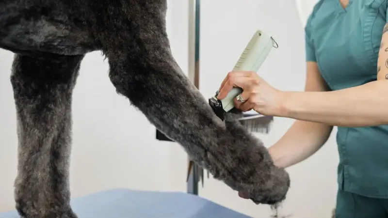 WAHL KMC+ Cordless - Kép 5
