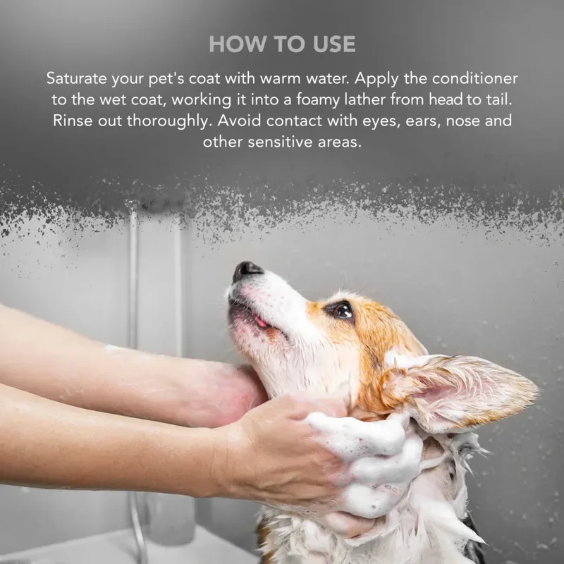 WAHL Easy Groom kondicionáló - Kép 2