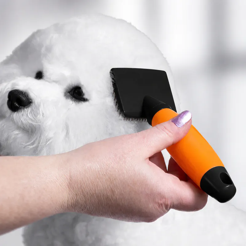 WAHL 58447-101 S kefe - Kép 3