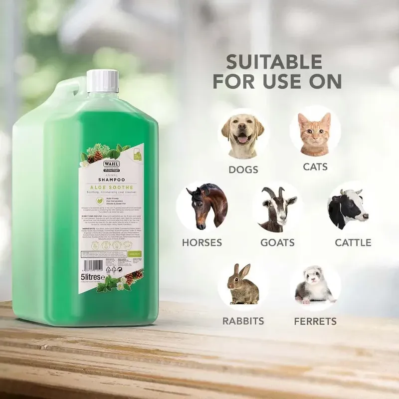 WAHL Aloe Soothe sampon - Kép 3
