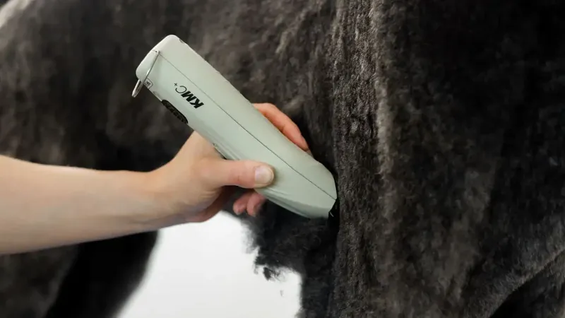 WAHL KMC+ Cordless - Kép 4